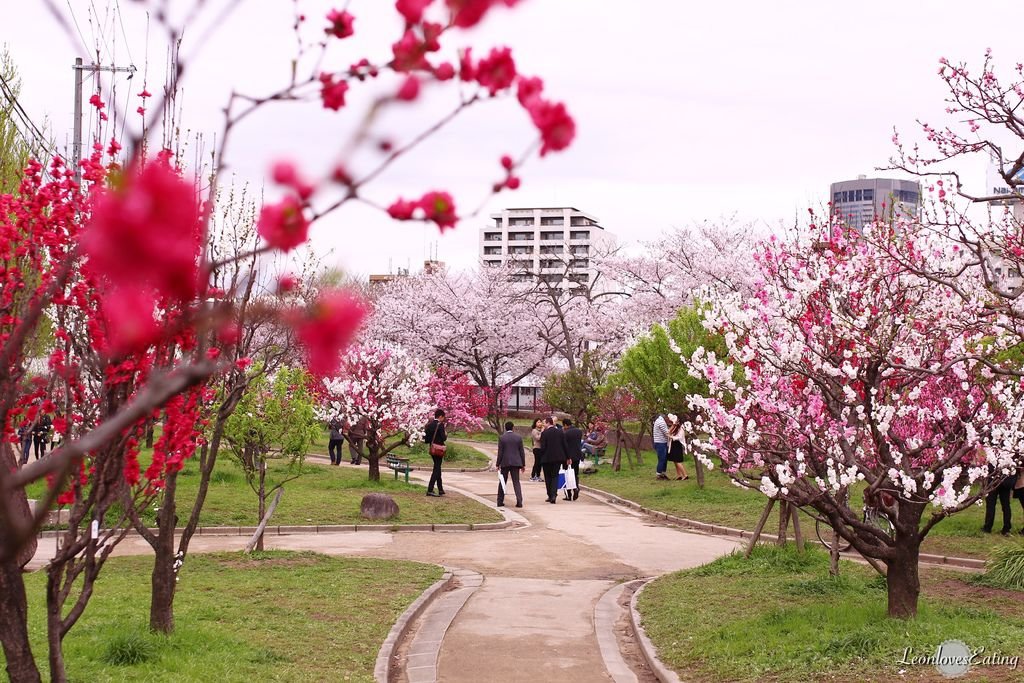 大阪城公園IMG_9664_20160404.jpg