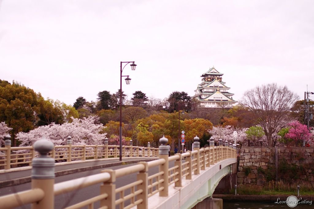 大阪城公園IMG_9685_20160404.jpg