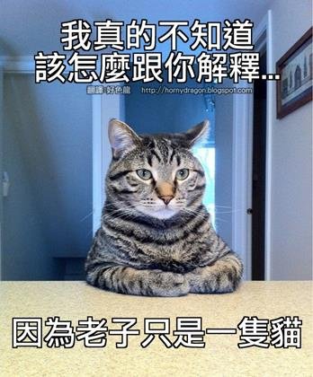 台南網頁設計,網站設計,網頁設計