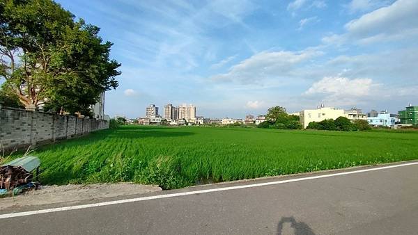 LINE_ALBUM_洪先生的地_220905_40.jpg