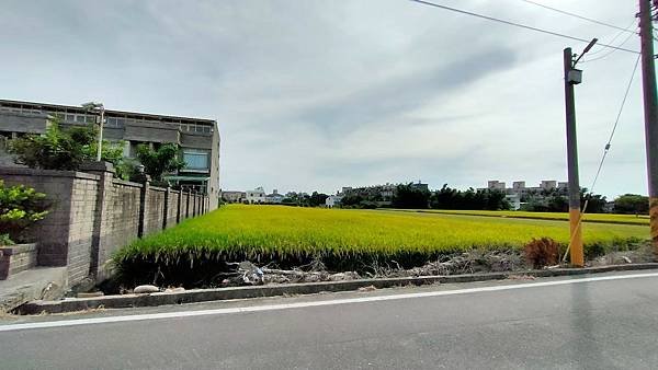 LINE_ALBUM_洪先生的地_220905_17.jpg