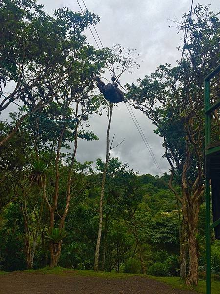 Ｍindo zip lining.jpg