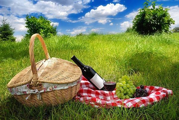 nature-landscape-sky-grass-spring-wine-grapes-picnic