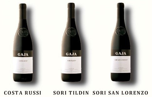 Gaja 2013B.jpg