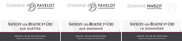 Domaine PAVELOT2.jpg