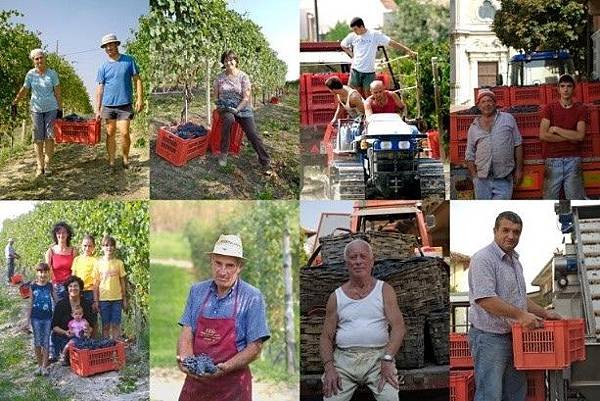 Produttori del Barbaresco2.jpg