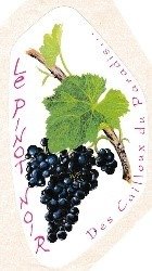 Pinot Noir (Claude Cortois).jpg