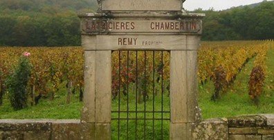 Latricières-Chambertin2.jpg