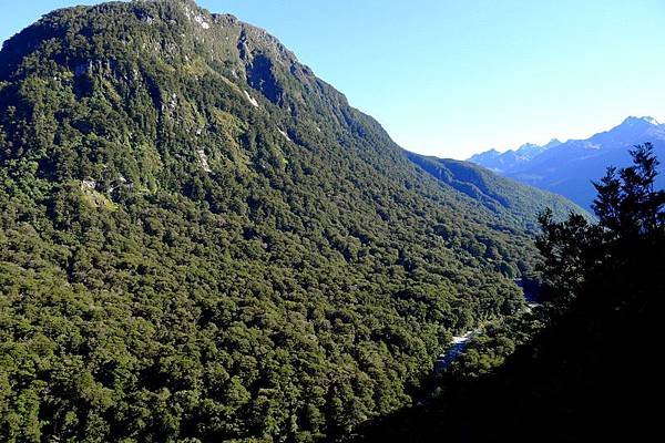 12-Hollyford Valley