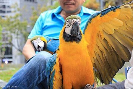 IMG_6677.JPG