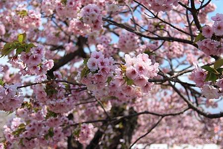 IMG_8836.JPG