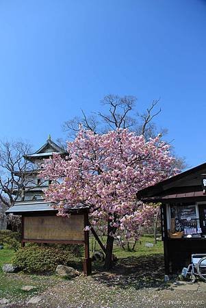 IMG_8840.JPG