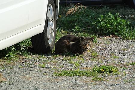DSC_6667.JPG