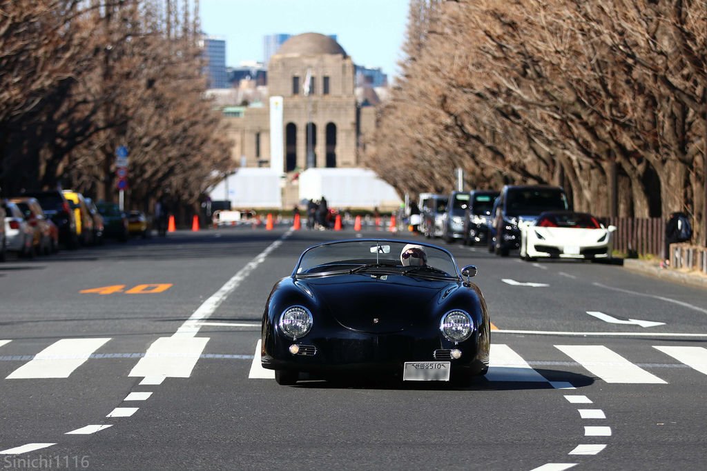 IMG_7929.jpg