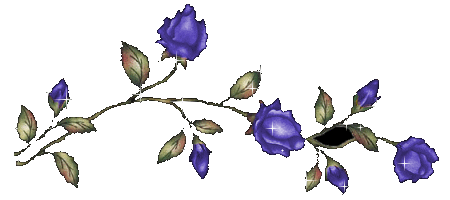 分隔線:741134wxydowxw3z.gif