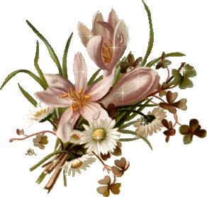 分隔線:4303189443953010638.jpg