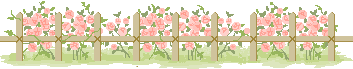 分隔線:xin_23209031917186461407510.gif