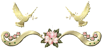 分隔線b_8D5DF176D6BD133D9CBAB2BA276497BF.gif