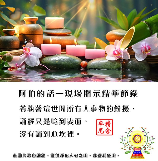 精舍救了我的孩子