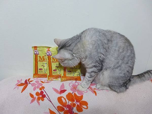 03拷貝.jpg