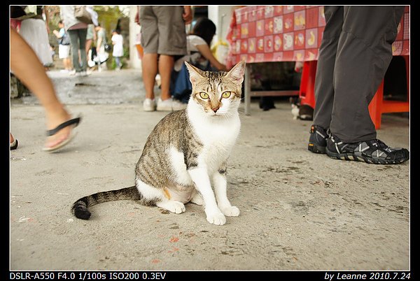 nEO_IMG_DSC06378.jpg