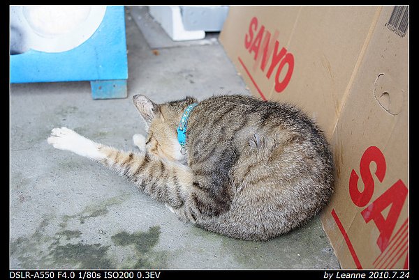 nEO_IMG_DSC06370.jpg