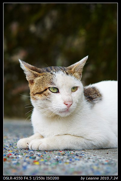 nEO_IMG_DSC06346.jpg