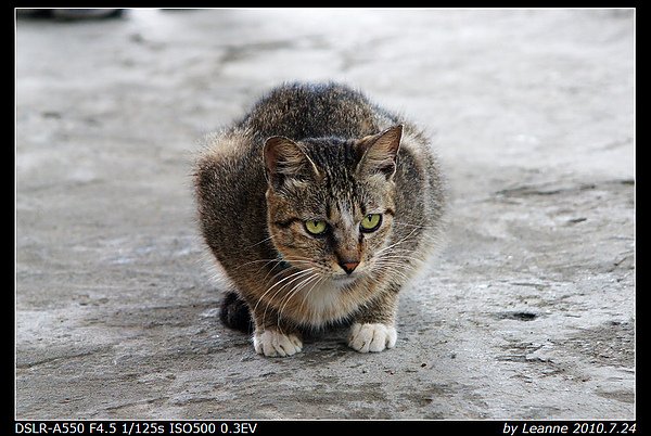 nEO_IMG_DSC06361.jpg