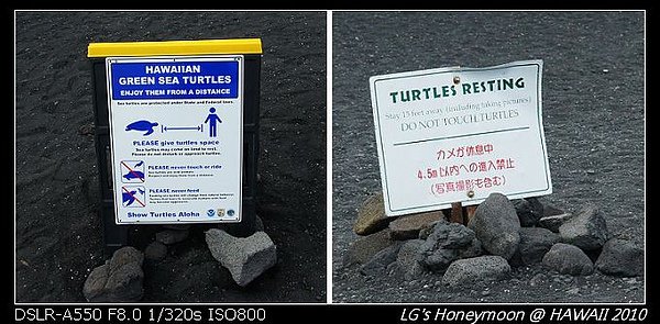 2010夏威夷Day5
