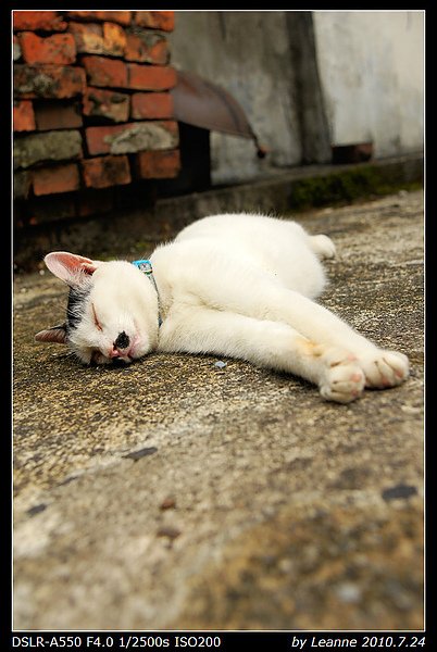 nEO_IMG_DSC06473.jpg