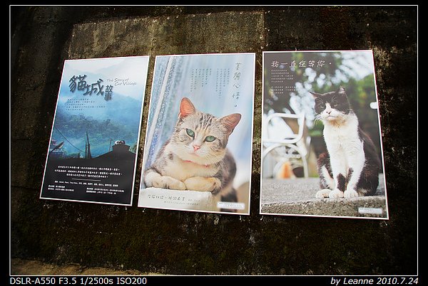nEO_IMG_DSC06483.jpg