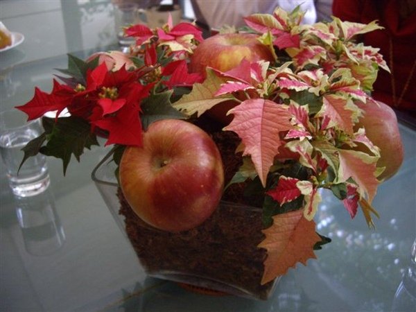 IMGP0207.JPG