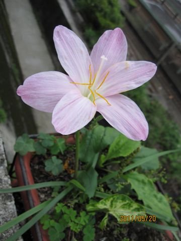 IMG_0387.JPG