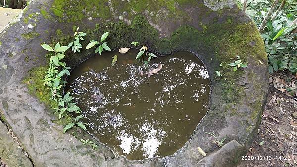 IMG_20201213_142227.jpg
