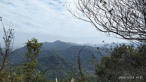 IMG_20201213_102102_1.jpg