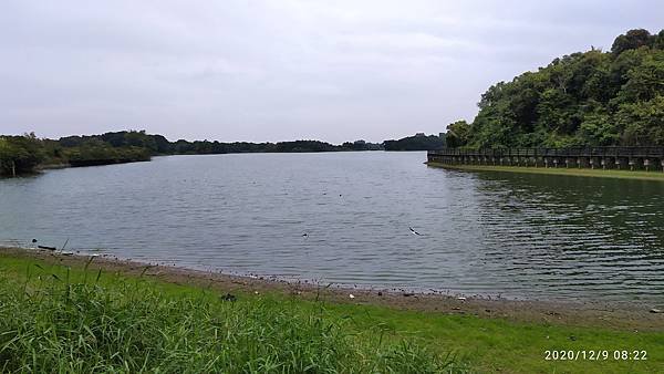 IMG_20201209_082246.jpg