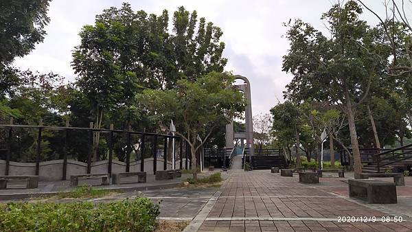 IMG_20201209_085002.jpg