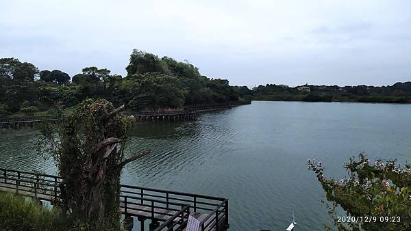 IMG_20201209_092401.jpg