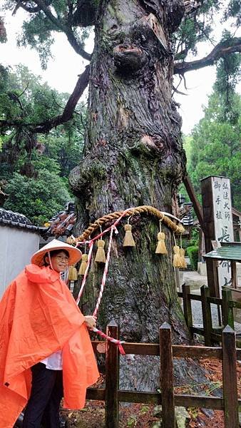 四國遍路第1天　第1番靈山寺 → 第2、3、4、5、6、7番