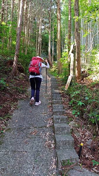 四國遍路第6天　お遍路の宿  みかんの宿→第20番鶴林寺→第