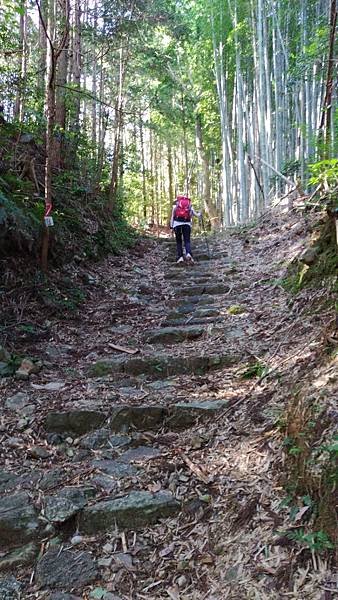 四國遍路第6天　お遍路の宿  みかんの宿→第20番鶴林寺→第