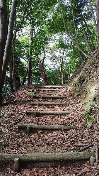 四國遍路第6天　お遍路の宿  みかんの宿→第20番鶴林寺→第