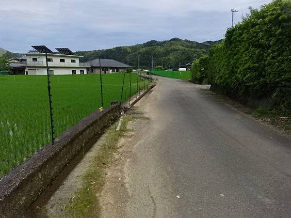 四國遍路第6天　お遍路の宿  みかんの宿→第20番鶴林寺→第