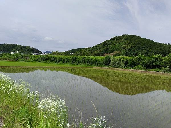 四國遍路第15天　休息日～自行車騎遊四萬十巿及四萬十川