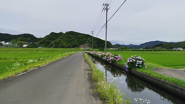 四國遍路第15天　休息日～自行車騎遊四萬十巿及四萬十川