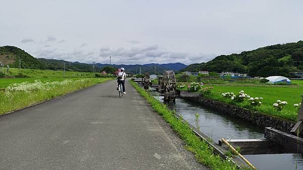 四國遍路第15天　休息日～自行車騎遊四萬十巿及四萬十川