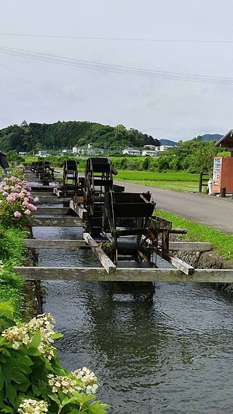 四國遍路第15天　休息日～自行車騎遊四萬十巿及四萬十川