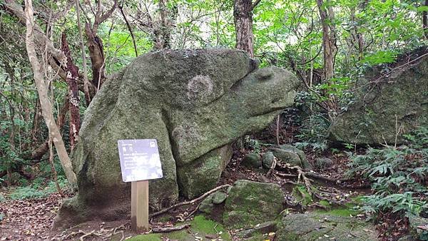 四國遍路第16天　民宿土佐→第38番金剛福寺→四國最南端-足