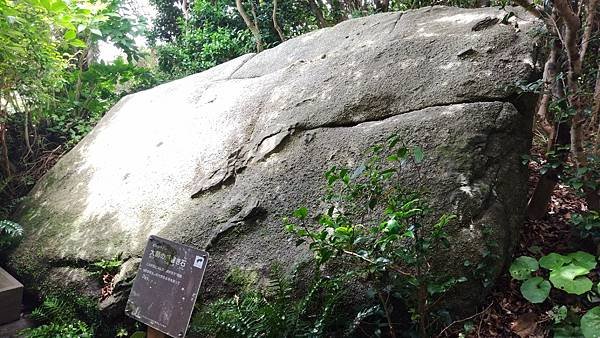 四國遍路第16天　民宿土佐→第38番金剛福寺→四國最南端-足