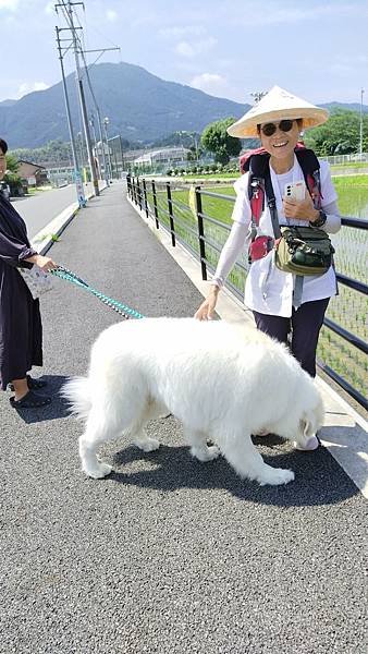 四國遍路第18天　Aoikuni Hotel日式商務旅館→搭